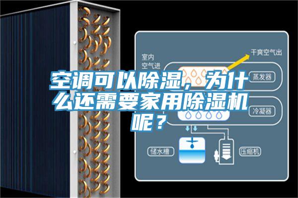空調可以除濕，為什麽還需要家用91看片网站呢？