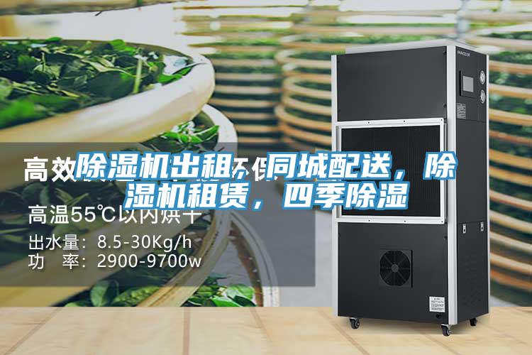 91看片网站出租，同城配送，91看片网站租賃，四季除濕