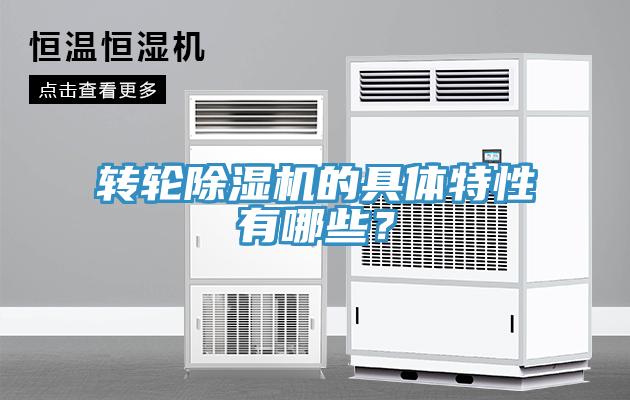 轉輪91看片网站的具體特性有哪些？