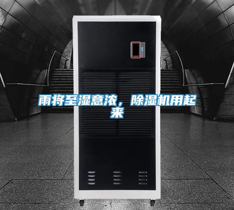 雨將至濕意濃，91看片网站用起來