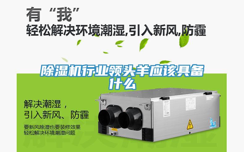 91看片网站行業領頭羊應該具備什麽