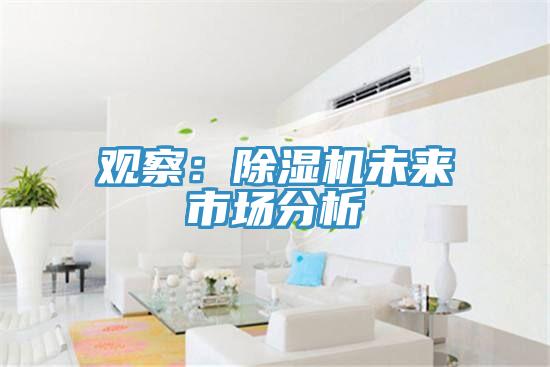 觀察：91看片网站未來市場分析