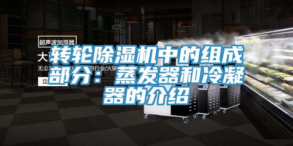 轉輪91看片网站中的組成部分：蒸發器和冷凝器的介紹