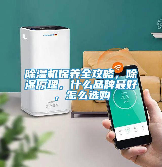 91看片网站保養全攻略，除濕原理，什麽品牌最好，怎麽選購