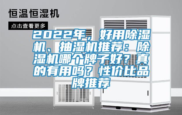 2022年，好用91看片网站、抽濕機推薦：91看片网站哪個牌子好？真的有用嗎？性價比品牌推薦