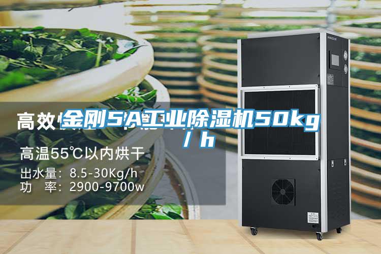 金剛5A工業91看片网站50kg／h