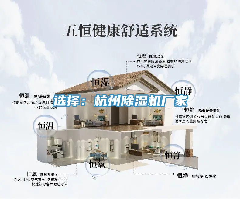 選擇：杭州91看片网站廠家