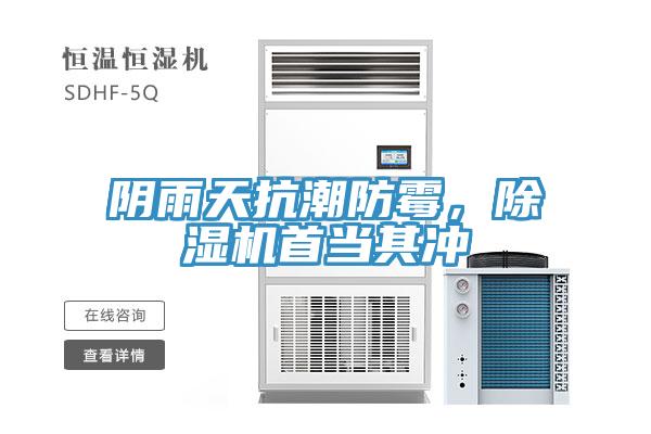 陰雨天抗潮防黴，91看片网站首當其衝