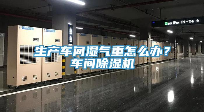 生產車間濕氣重怎麽辦？車間91看片网站