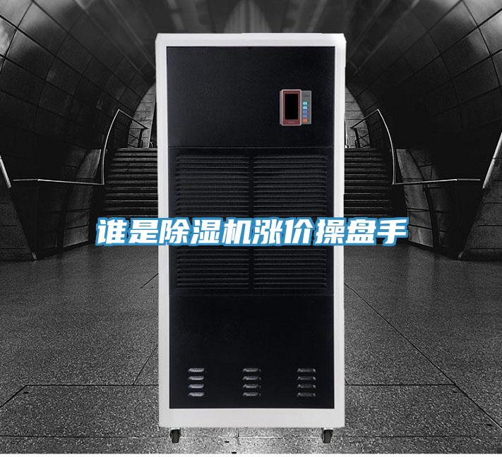 誰是91看片网站漲價操盤手