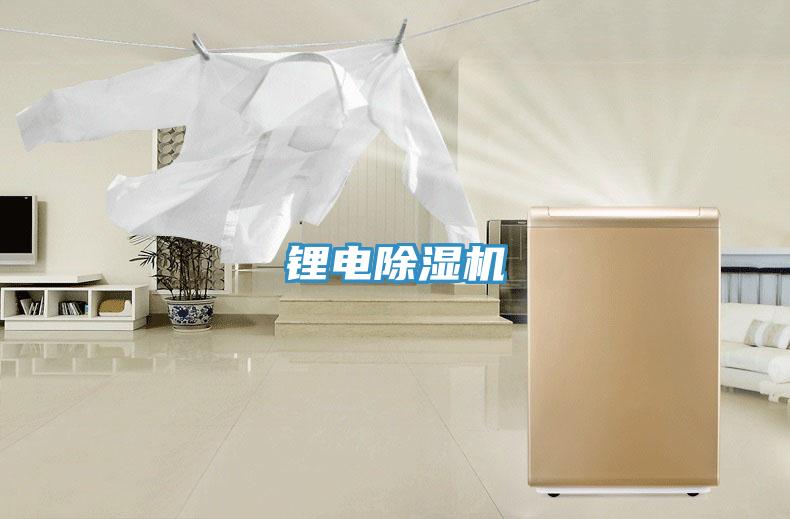 鋰電91看片网站