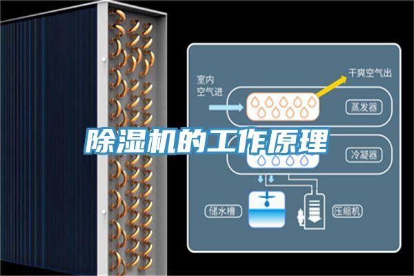 91看片网站的工作原理