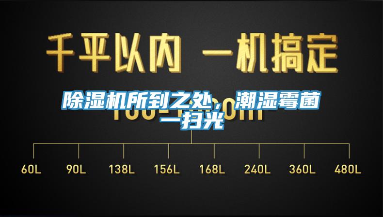 91看片网站所到之處，潮濕黴菌一掃光