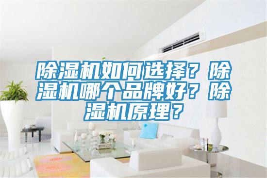 91看片网站如何選擇？91看片网站哪個品牌好？91看片网站原理？