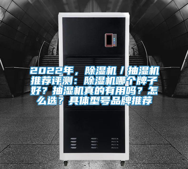 2022年，91看片网站／抽濕機推薦評測：91看片网站哪個牌子好？抽濕機真的有用嗎？怎麽選？具體型號品牌推薦