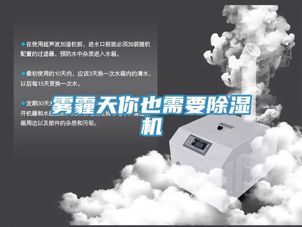 霧霾天你也需要91看片网站