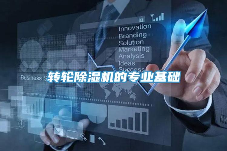 轉輪91看片网站的專業基礎