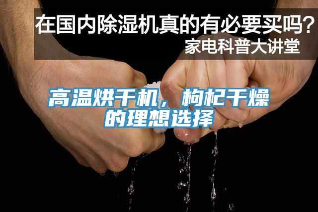 高溫烘幹機，枸杞幹燥的理想選擇