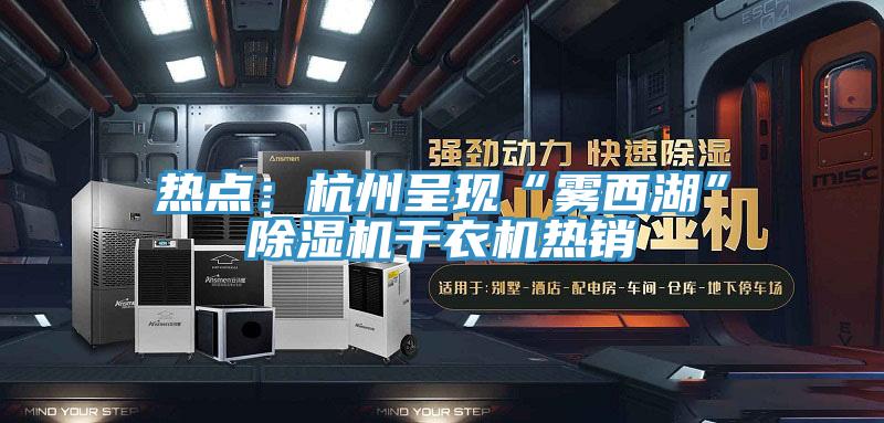 熱點：杭州呈現“霧西湖”91看片网站幹衣機熱銷