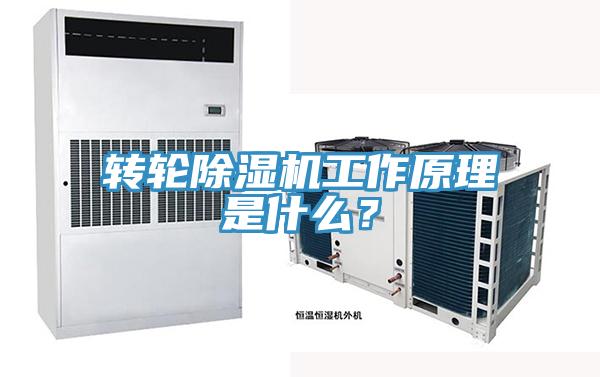 轉輪91看片网站工作原理是什麽？