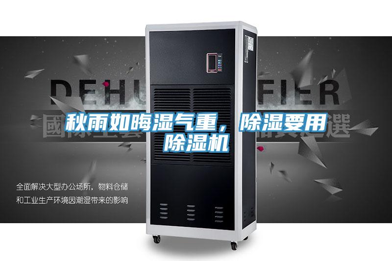 秋雨如晦濕氣重，除濕要用91看片网站