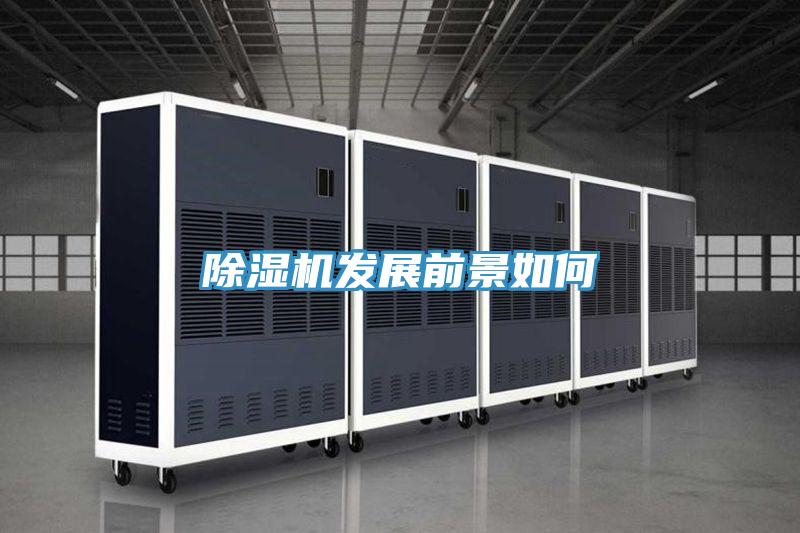 91看片网站發展前景如何