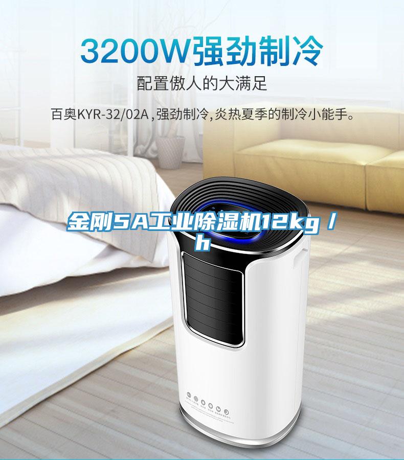 金剛5A工業91看片网站12kg／h