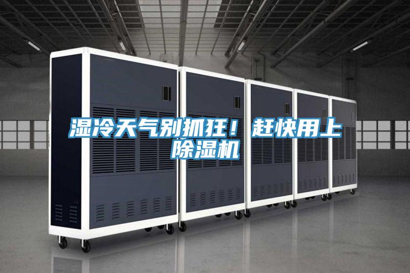 濕冷天氣別抓狂！趕快用上91看片网站