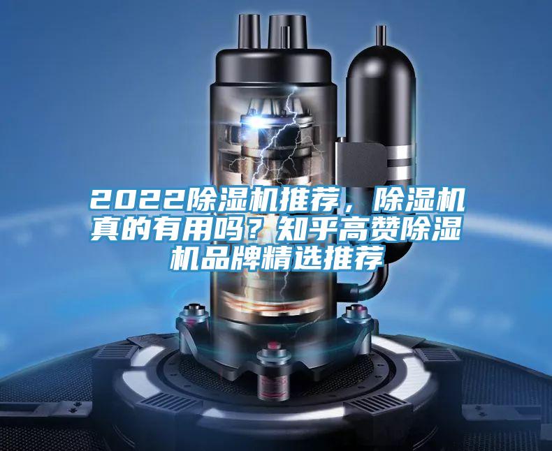 202291看片网站推薦，91看片网站真的有用嗎？知乎高讚91看片网站品牌精選推薦