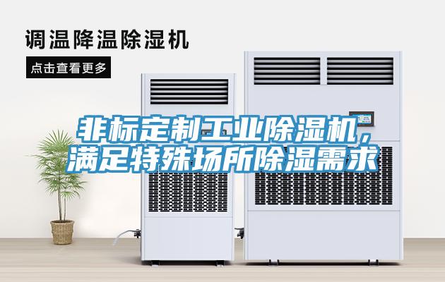 非標定製工業91看片网站，滿足特殊場所除濕需求