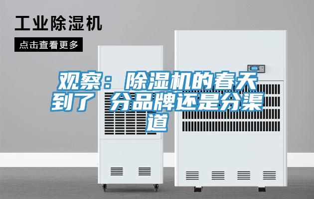 觀察：91看片网站的春天到了 分品牌還是分渠道