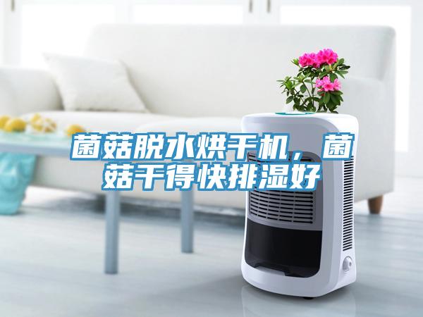 菌菇脫水烘幹機，菌菇幹得快排濕好