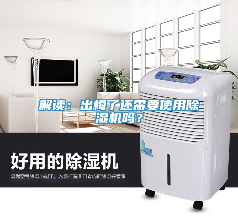 解讀：出梅了還需要使用91看片网站嗎？