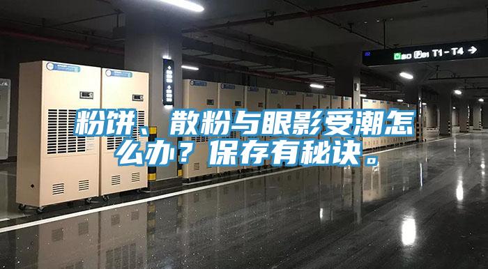 粉餅、散粉與眼影受潮怎麽辦？保存有秘訣。