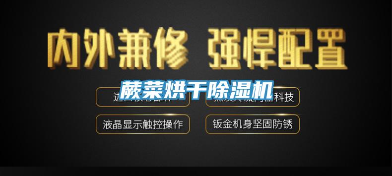 蕨菜烘幹91看片网站