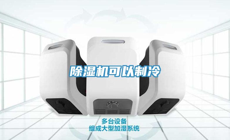 91看片网站可以製冷