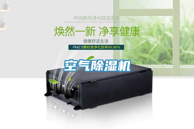 空氣91看片网站
