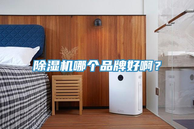 91看片网站哪個品牌好啊？