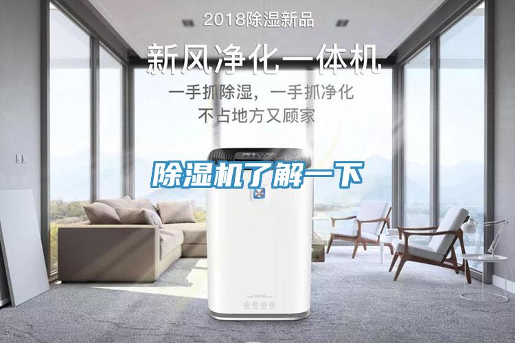 91看片网站了解一下