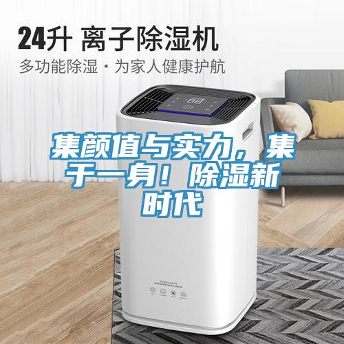 集顏值與實力，集於一身！除濕新時代