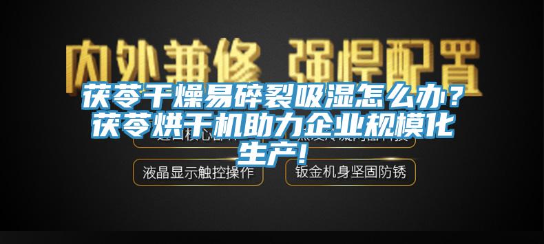 茯苓幹燥易碎裂吸濕怎麽辦？茯苓烘幹機助力企業規模化生產!