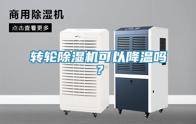 轉輪91看片网站可以降溫嗎？