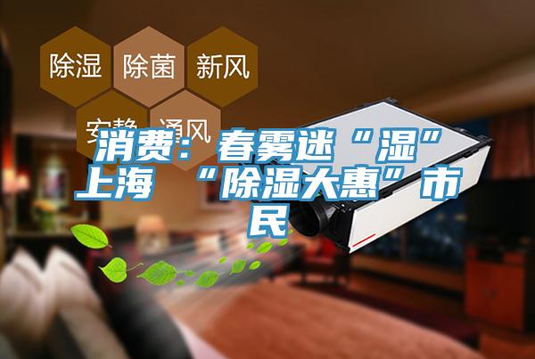 消費：春霧迷“濕”上海 “除濕大惠”市民