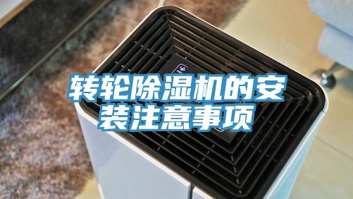 轉輪91看片网站的安裝注意事項
