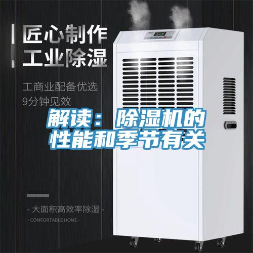 解讀：91看片网站的性能和季節有關