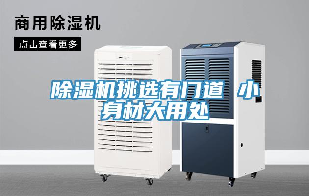 91看片网站挑選有門道 小身材大用處