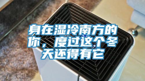 身在濕冷南方的你，度過這個冬天還得有它
