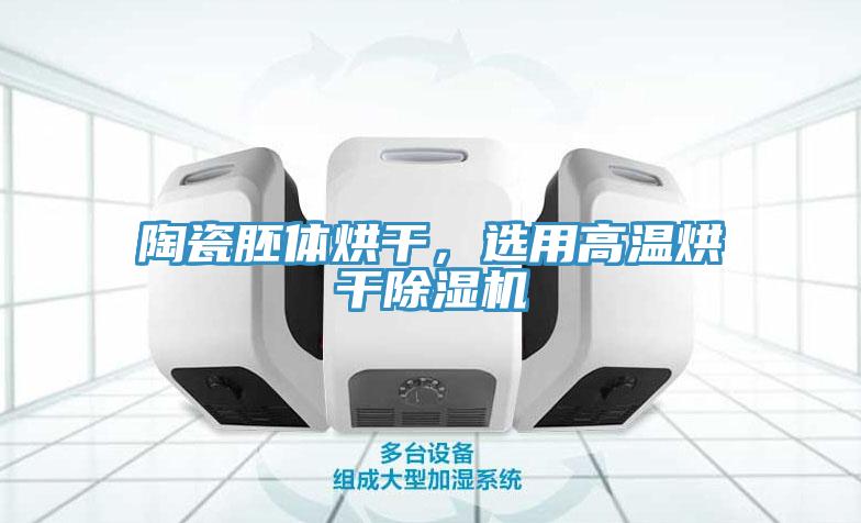 陶瓷胚體烘幹，選用高溫烘幹91看片网站