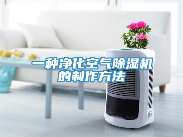 一種淨化空氣91看片网站的製作方法