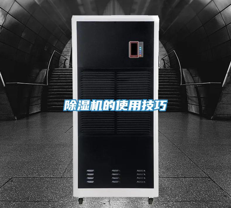 91看片网站的使用技巧